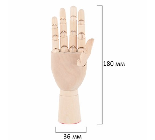 Манекен художественный 