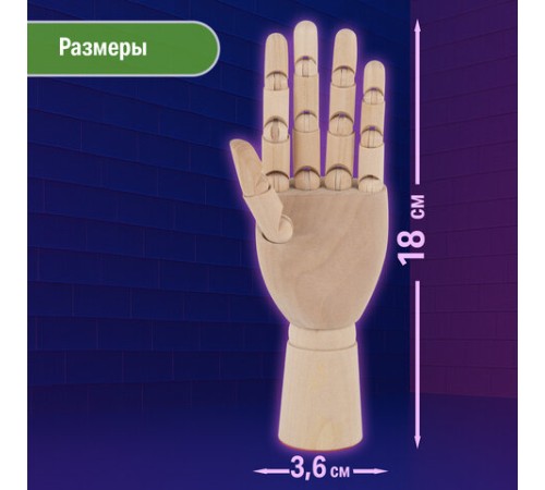 Манекен художественный 