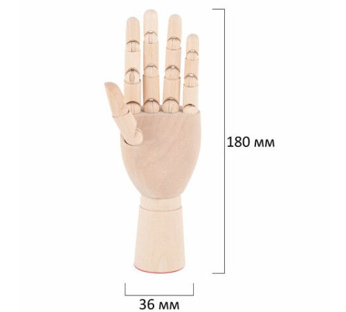 Манекен художественный 