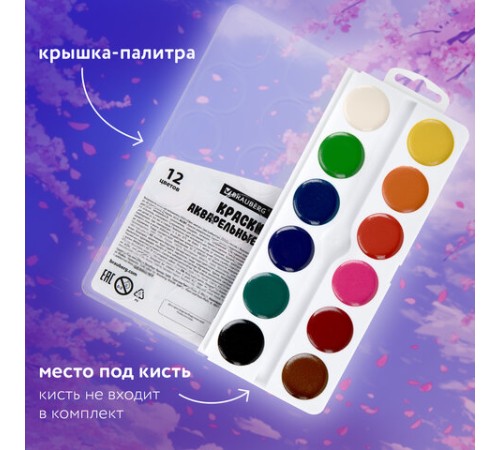 Краски акварельные BRAUBERG 12 цветов 