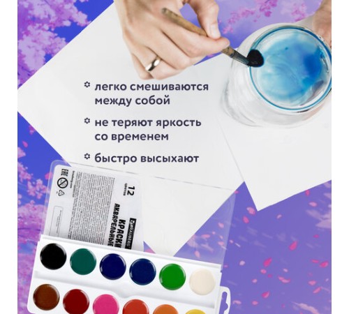 Краски акварельные BRAUBERG 12 цветов 