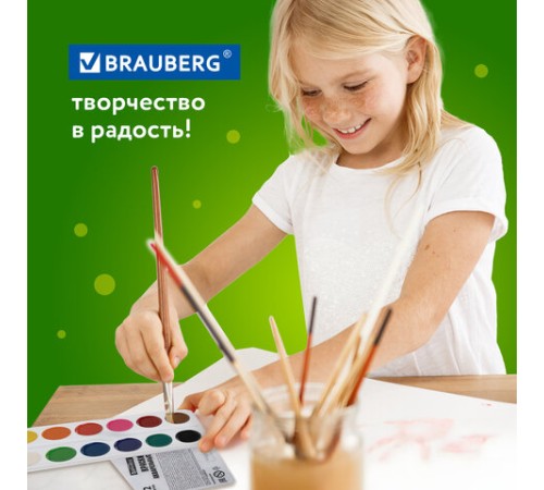 Краски акварельные BRAUBERG 12 цветов 