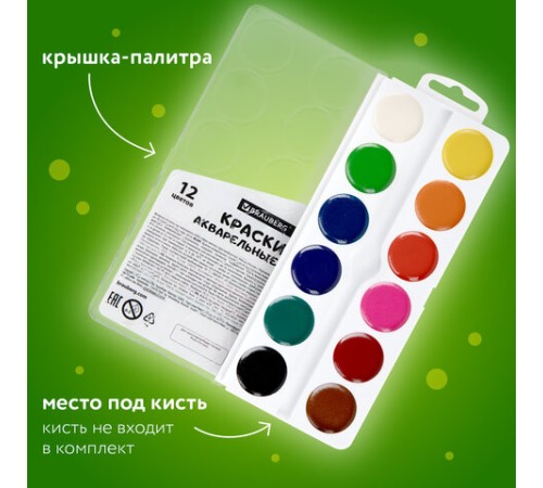 Краски акварельные BRAUBERG 12 цветов 