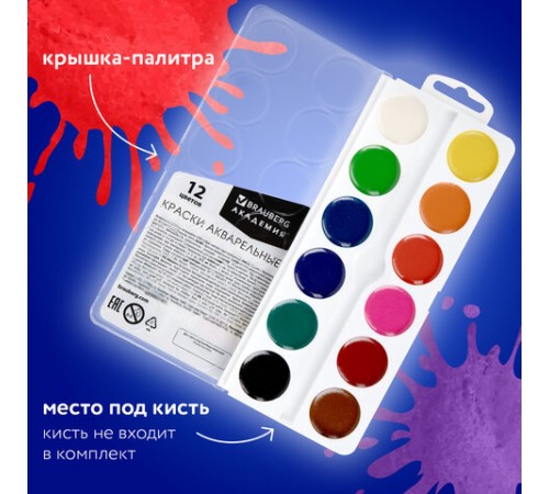 Краски акварельные BRAUBERG 12 цветов 