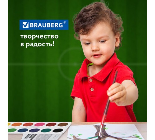 Краски акварельные BRAUBERG 12 цветов 