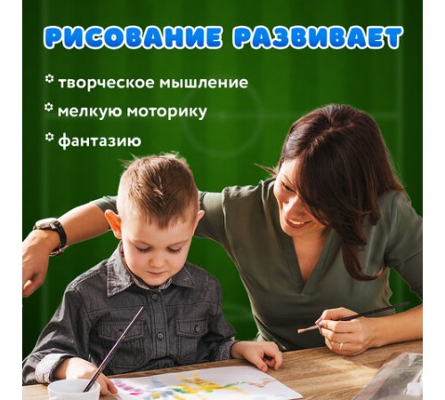 Краски акварельные BRAUBERG 12 цветов 