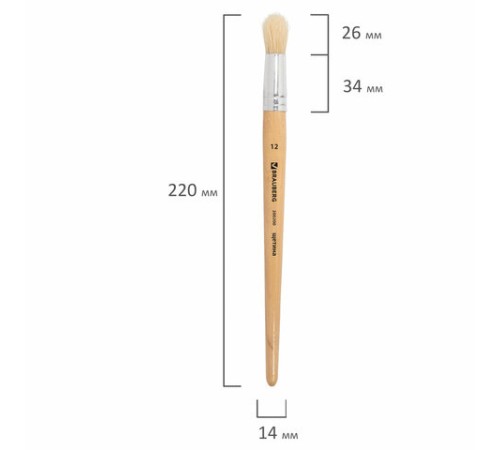 Кисть BRAUBERG, щетина, круглая, № 12, 200200