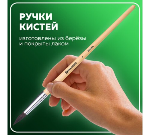 Кисти BRAUBERG, набор 3 шт. (белка, круглые № 2, 4, 6), блистер, 200216