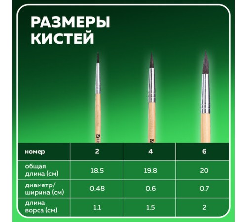Кисти BRAUBERG, набор 3 шт. (белка, круглые № 2, 4, 6), блистер, 200216