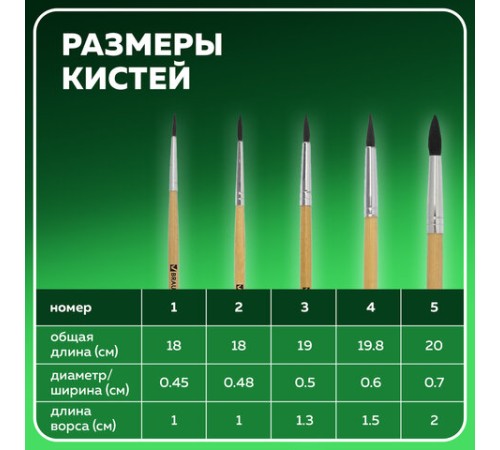 Кисти BRAUBERG, набор 5 шт. (белка, круглые № 1, 2, 3, 4, 5), блистер, 200217