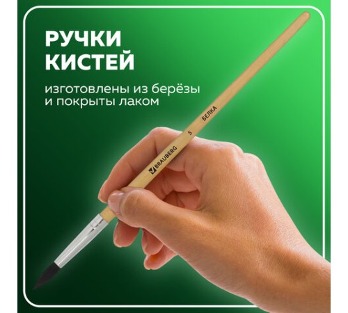Кисти BRAUBERG, набор 5 шт. (белка, круглые № 1, 2, 3, 4, 5), блистер, 200217