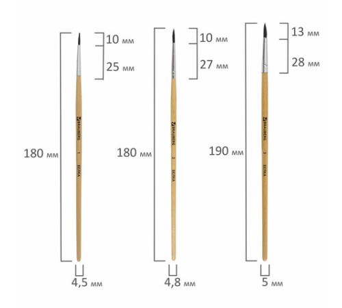 Кисти BRAUBERG, набор 5 шт. (белка, круглые № 1, 2, 3, 4, 5), блистер, 200217