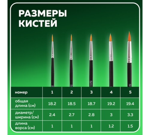 Кисти BRAUBERG, набор 5 шт. (синтетика, круглые № 1, 2, 3, 4, 5), блистер, 200218