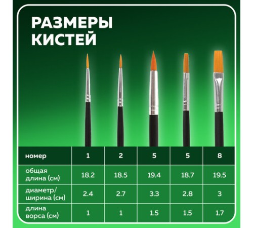 Кисти BRAUBERG, набор 5 шт. (синтетика, круглые № 1, 2, 5, плоские № 5, 8), блистер, 200219