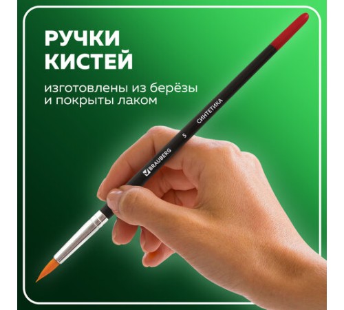 Кисти BRAUBERG, набор 5 шт. (синтетика, круглые № 1, 2, 5, плоские № 5, 8), блистер, 200219