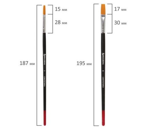 Кисти BRAUBERG, набор 5 шт. (синтетика, круглые № 1, 2, 5, плоские № 5, 8), блистер, 200219