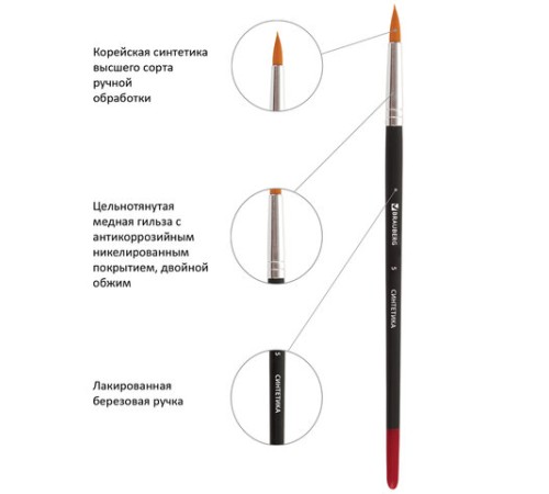 Кисти BRAUBERG, набор 5 шт. (синтетика, круглые № 1, 2, 5, плоские № 5, 8), блистер, 200219