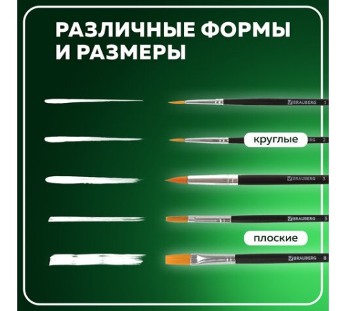 Кисти BRAUBERG, набор 5 шт. (синтетика, круглые № 1, 2, 5, плоские № 5, 8), блистер, 200219