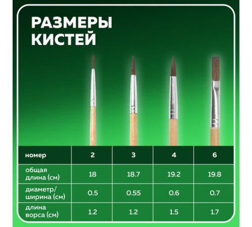 Кисти BRAUBERG, набор 4 шт. (пони, круглые № 2, 3, 4, плоская № 6), блистер, 200221