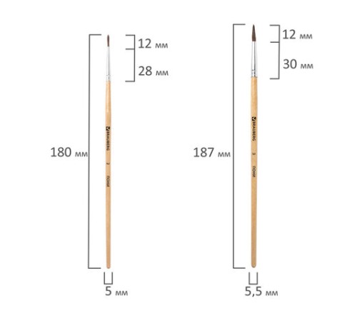 Кисти BRAUBERG, набор 4 шт. (пони, круглые № 2, 3, 4, плоская № 6), блистер, 200221