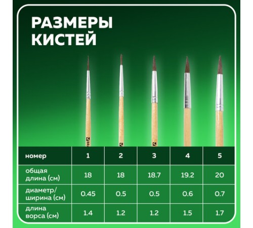 Кисти BRAUBERG, набор 5 шт. (пони, круглые № 1, 2, 3, 4, 5), блистер, 200222