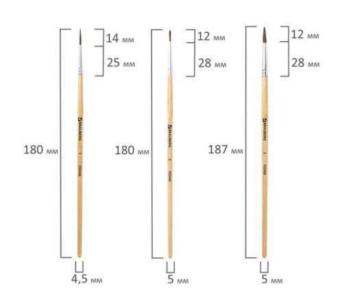 Кисти BRAUBERG, набор 5 шт. (пони, круглые № 1, 2, 3, 4, 5), блистер, 200222