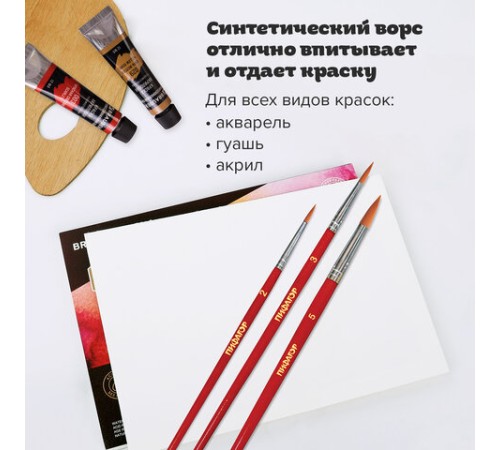 Кисти ПИФАГОР, набор 3 шт. (СИНТЕТИКА: круглые № 2, 3, 5), пакет с европодвесом, 200226