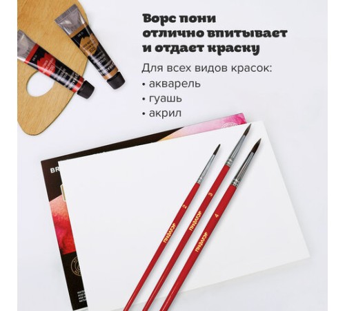 Кисти ПИФАГОР, набор 3 шт. (ПОНИ: круглые № 2, 3, 4), пакет с европодвесом, 200227