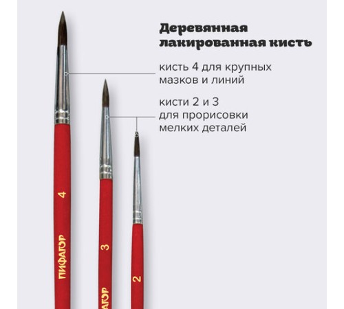 Кисти ПИФАГОР, набор 3 шт. (ПОНИ: круглые № 2, 3, 4), пакет с европодвесом, 200227