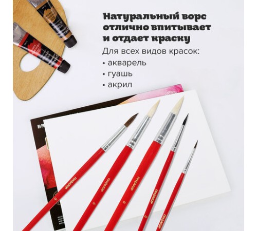 Кисти ПИФАГОР, набор 5 шт. (БЕЛКА: круглая № 3; КОЗА: круглые № 6, 8; ПОНИ: круглые № 2, 5), пакет с европодвесом, 200231