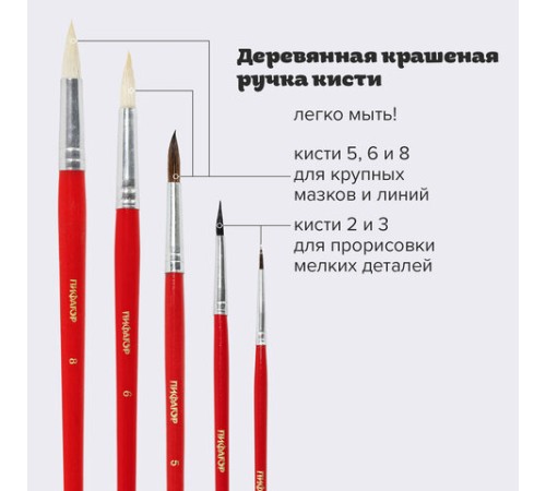 Кисти ПИФАГОР, набор 5 шт. (БЕЛКА: круглая № 3; КОЗА: круглые № 6, 8; ПОНИ: круглые № 2, 5), пакет с европодвесом, 200231