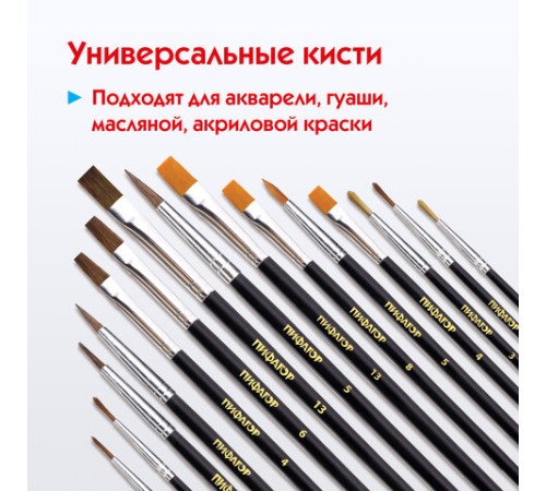 Кисти ПИФАГОР, набор 15 шт. (ПОНИ - 9 шт., СИНТЕТИКА - 4 шт., ЩЕТИНА - 2 шт., круглые, плоские), блистер, 200504