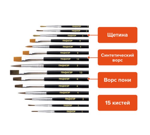 Кисти ПИФАГОР, набор 15 шт. (ПОНИ - 9 шт., СИНТЕТИКА - 4 шт., ЩЕТИНА - 2 шт., круглые, плоские), блистер, 200504