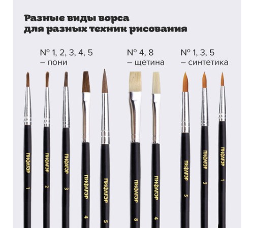 Кисти ПИФАГОР, набор 10 шт. (ПОНИ: плоская № 4, круглые № 1, 2, 3, 5; СИНТЕТИКА: круглые № 1, 3, 5; ЩЕТИНА: плоские № 4, 8), блистер, 200505