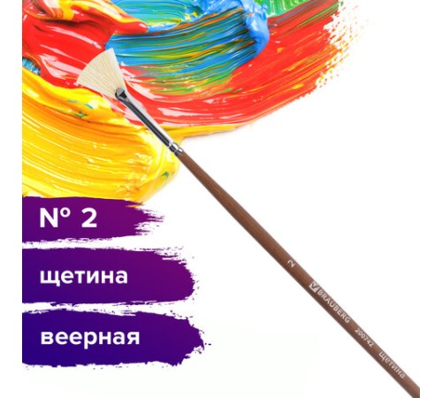 Кисть художественная профессиональная BRAUBERG ART CLASSIC, щетина, веерная, № 2, длинная ручка, 200742