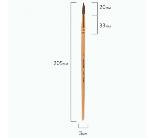 Кисть ПИФАГОР, БЕЛКА, круглая, № 5, деревянная лакированная ручка, с колпачком, 200819