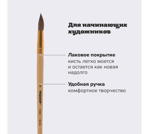 Кисть ПИФАГОР, БЕЛКА, круглая, № 8, деревянная лакированная ручка, с колпачком, пакет с подвесом, 200822