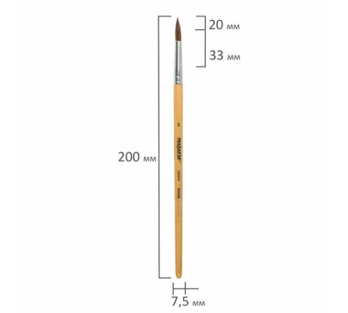 Кисть ПИФАГОР, ПОНИ, круглая, № 5, деревянная лакированная ручка, с колпачком, 200834