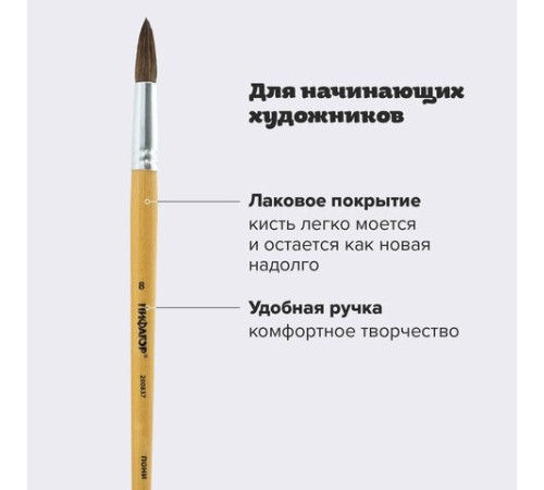 Кисть ПИФАГОР, ПОНИ, круглая, № 8, деревянная лакированная ручка, колпачок, пакет с подвесом, 200837