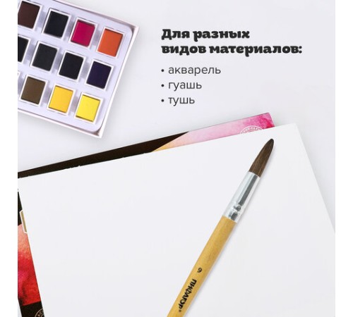 Кисть ПИФАГОР, ПОНИ, круглая, № 9, деревянная лакированная ручка, колпачок, пакет с подвесом, 200838