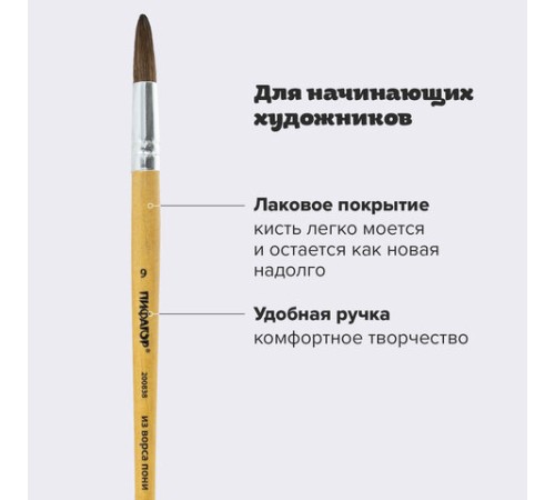 Кисть ПИФАГОР, ПОНИ, круглая, № 9, деревянная лакированная ручка, колпачок, пакет с подвесом, 200838