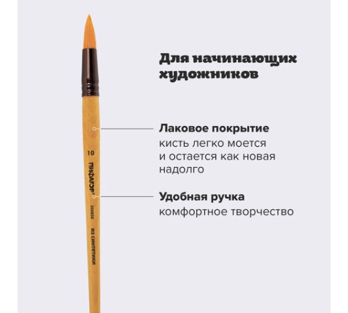 Кисть ПИФАГОР, СИНТЕТИКА, круглая, № 10, деревянная лакированная ручка, с колпачком, пакет с подвесом, 200850