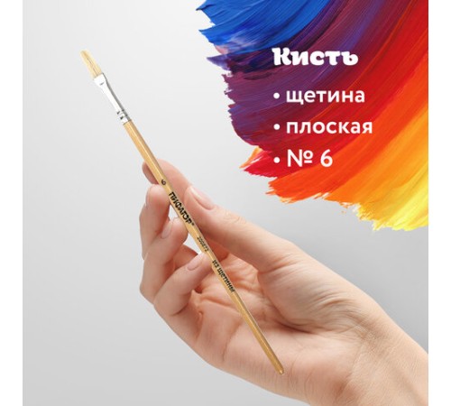 Кисть ПИФАГОР, ЩЕТИНА, плоская, № 6, деревянная лакированная ручка, пакет с подвесом, 200872