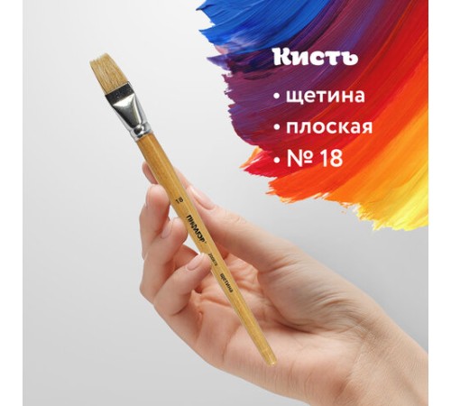 Кисть ПИФАГОР, ЩЕТИНА, плоская, № 18, деревянная лакированная ручка, пакет с подвесом, 200878