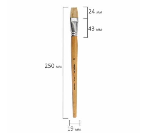 Кисть ПИФАГОР, ЩЕТИНА, плоская, № 20, деревянная лакированная ручка, пакет с подвесом, 200879