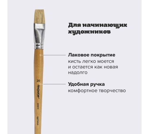 Кисть ПИФАГОР, ЩЕТИНА, плоская, № 20, деревянная лакированная ручка, пакет с подвесом, 200879