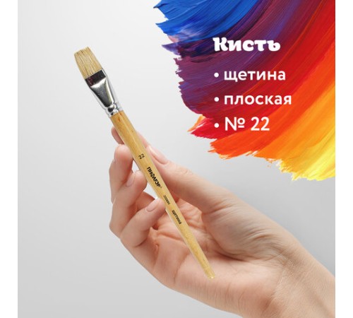 Кисть ПИФАГОР, ЩЕТИНА, плоская, № 22, деревянная лакированная ручка, пакет с подвесом, 200880