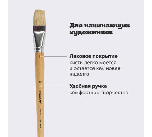 Кисть ПИФАГОР, ЩЕТИНА, плоская, № 22, деревянная лакированная ручка, пакет с подвесом, 200880