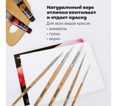 Кисти ПИФАГОР, набор 5 шт. (КОЗА: круглые № 1, 2, 3, 4, 5), блистер с европодвесом, 200887