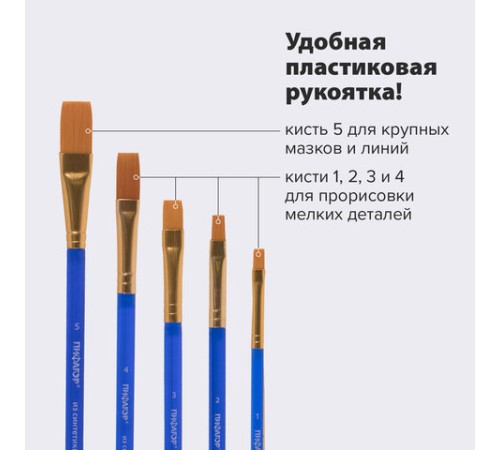 Кисти ПИФАГОР, набор 5 шт. (СИНТЕТИКА: плоские № 1, 2, 3, 4, 5), пакет с европодвесом, 200888
